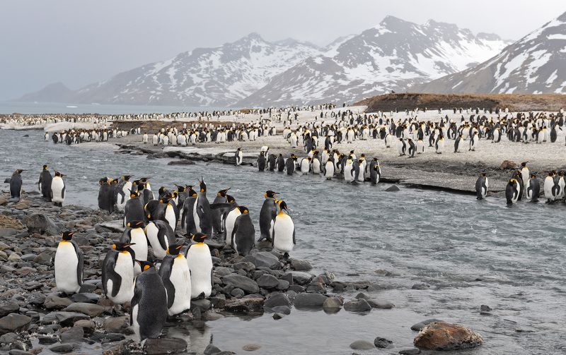 Залив Святого Андрея фото превью