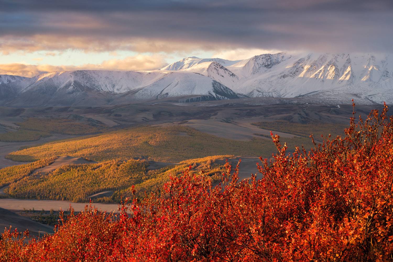 тыва, tuva, снег, сентябрь, золотая осень, горы, Леонтьев Константин