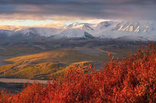 Утро.  /  Morning.