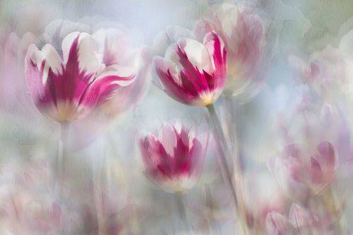 Spring mirages...