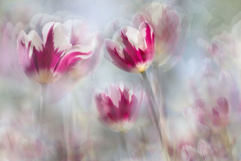 Spring mirages... фото превью