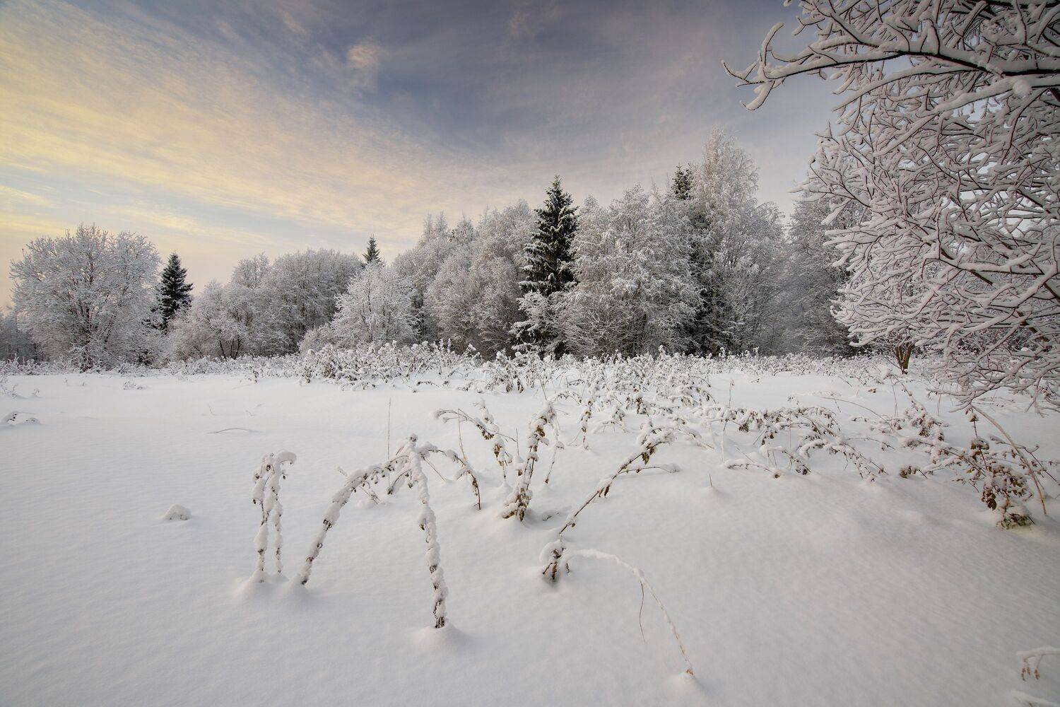 , Шишпанов Игорь