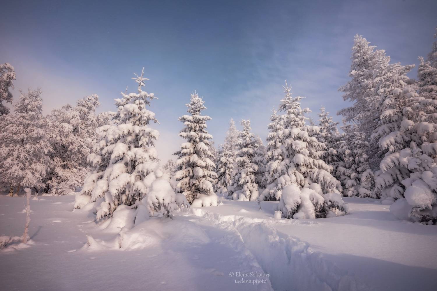 уван, горы, зима, лес, снег, урал, Соколова Елена