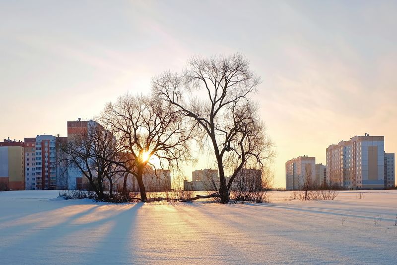витебск, утро, восход, зима, снег Похоже, будет денёк погожий! фото превью