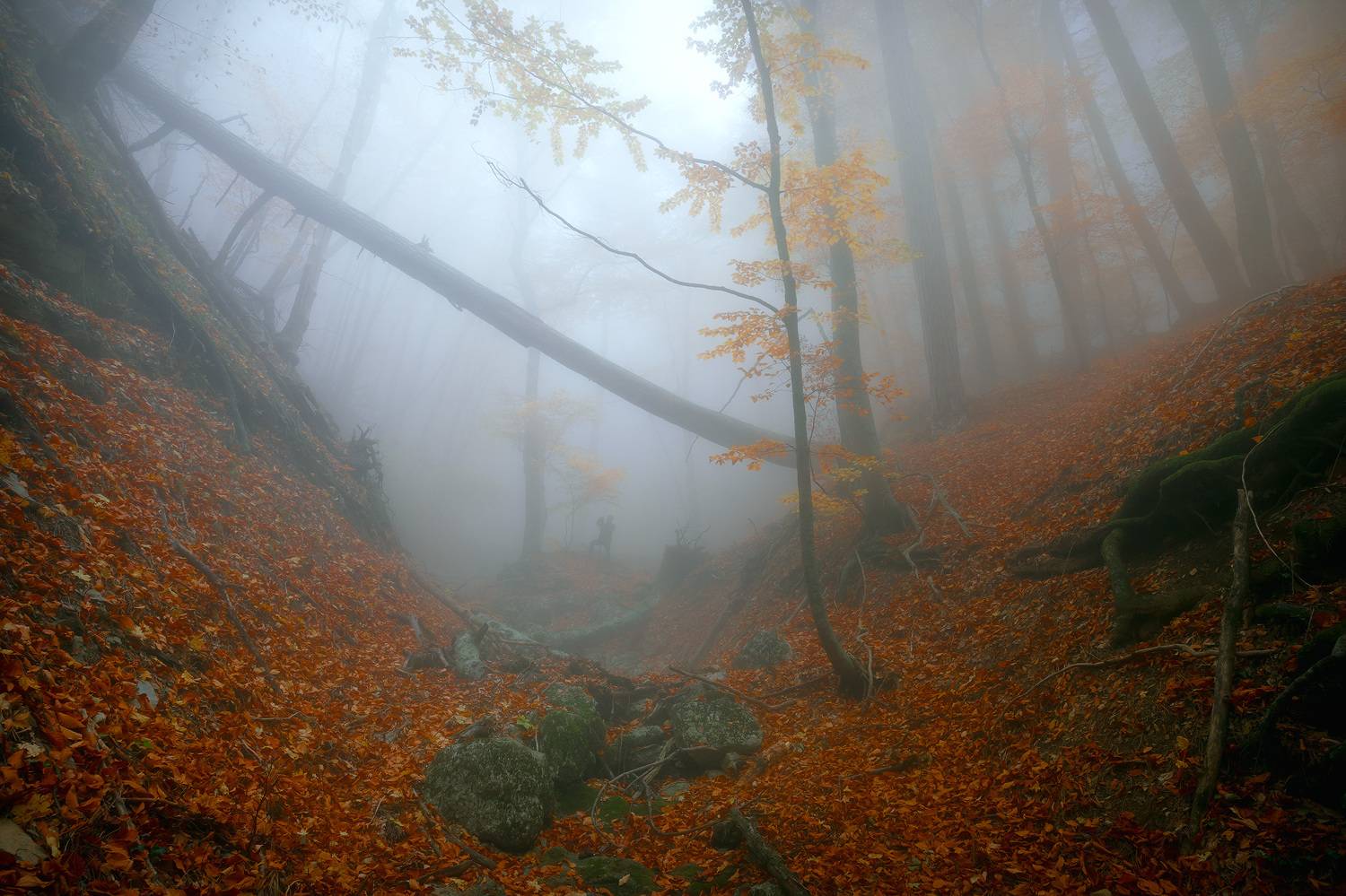 , Костенко Александр