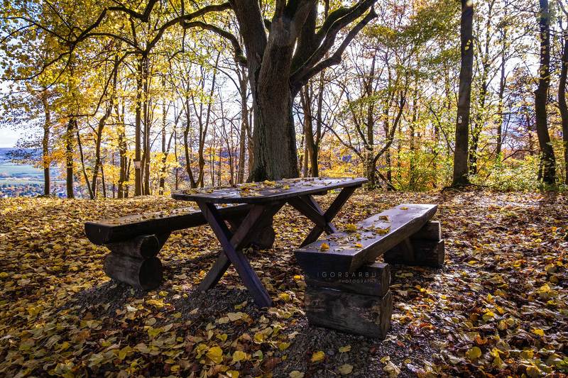 Halt фото превью