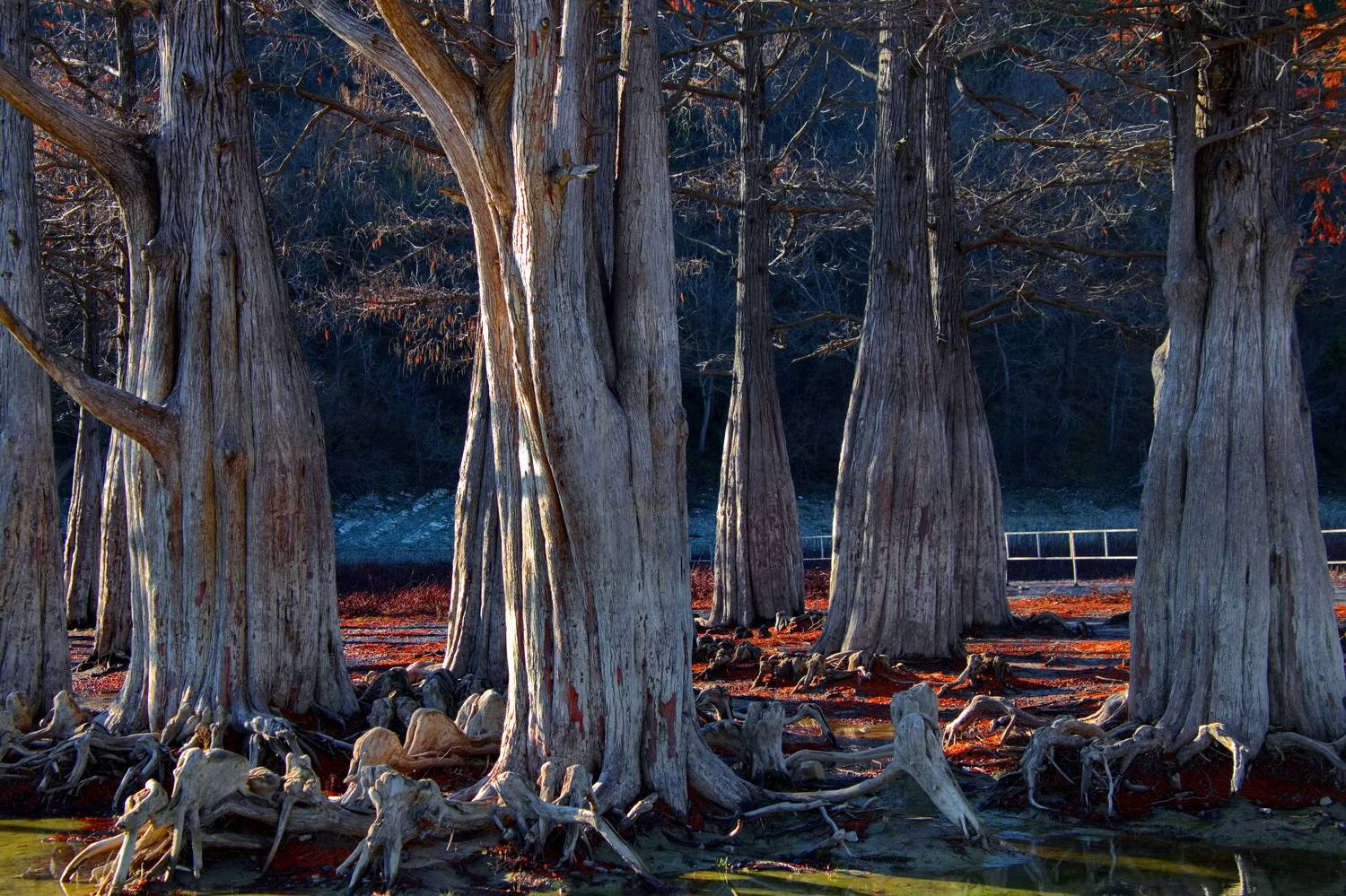 , Александр Лукин