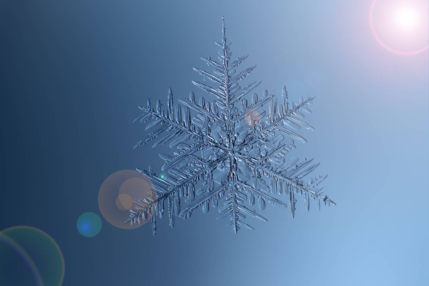 , Алексей Козлов