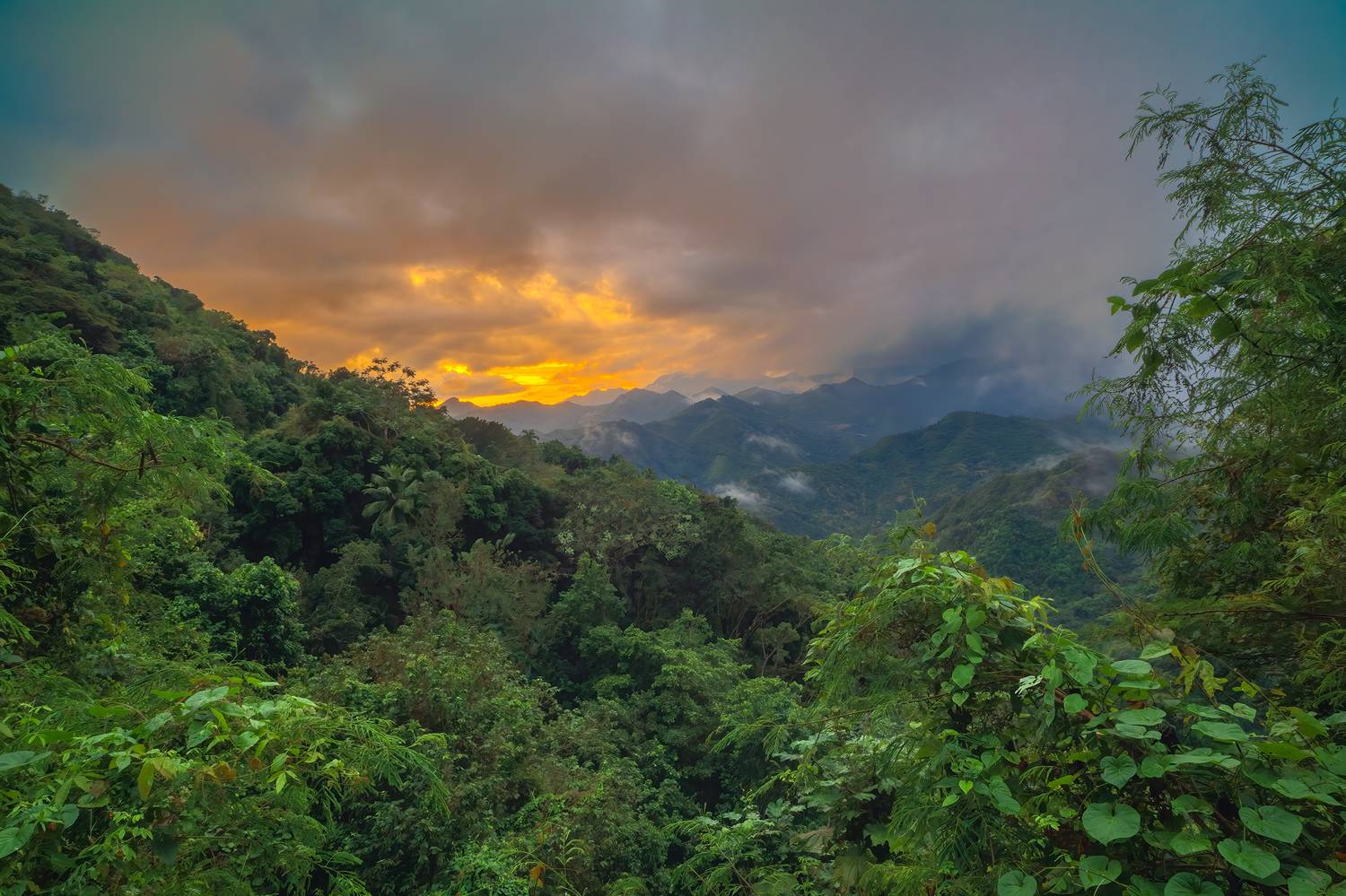 , Васенков Геннадий