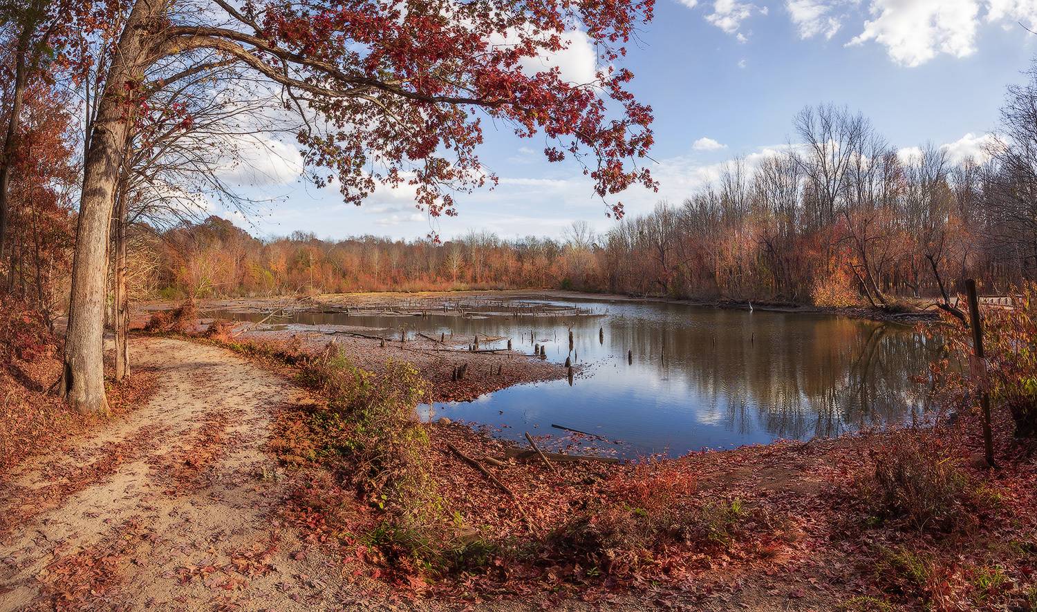 , Леонид Дьяченко