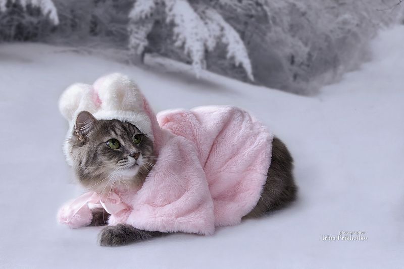 Снегурочка фото превью