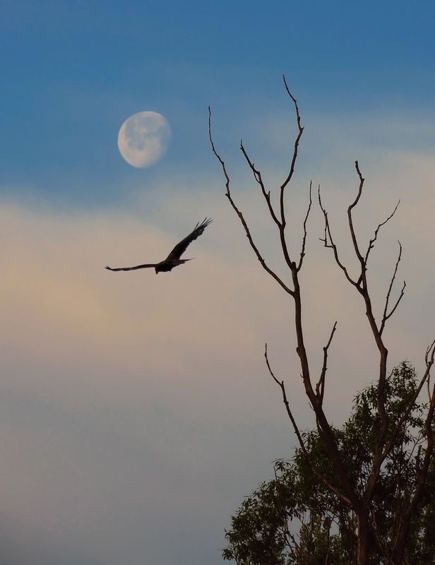 Утро нового дня фото превью