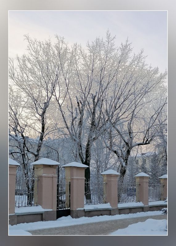 Мороз! фото превью