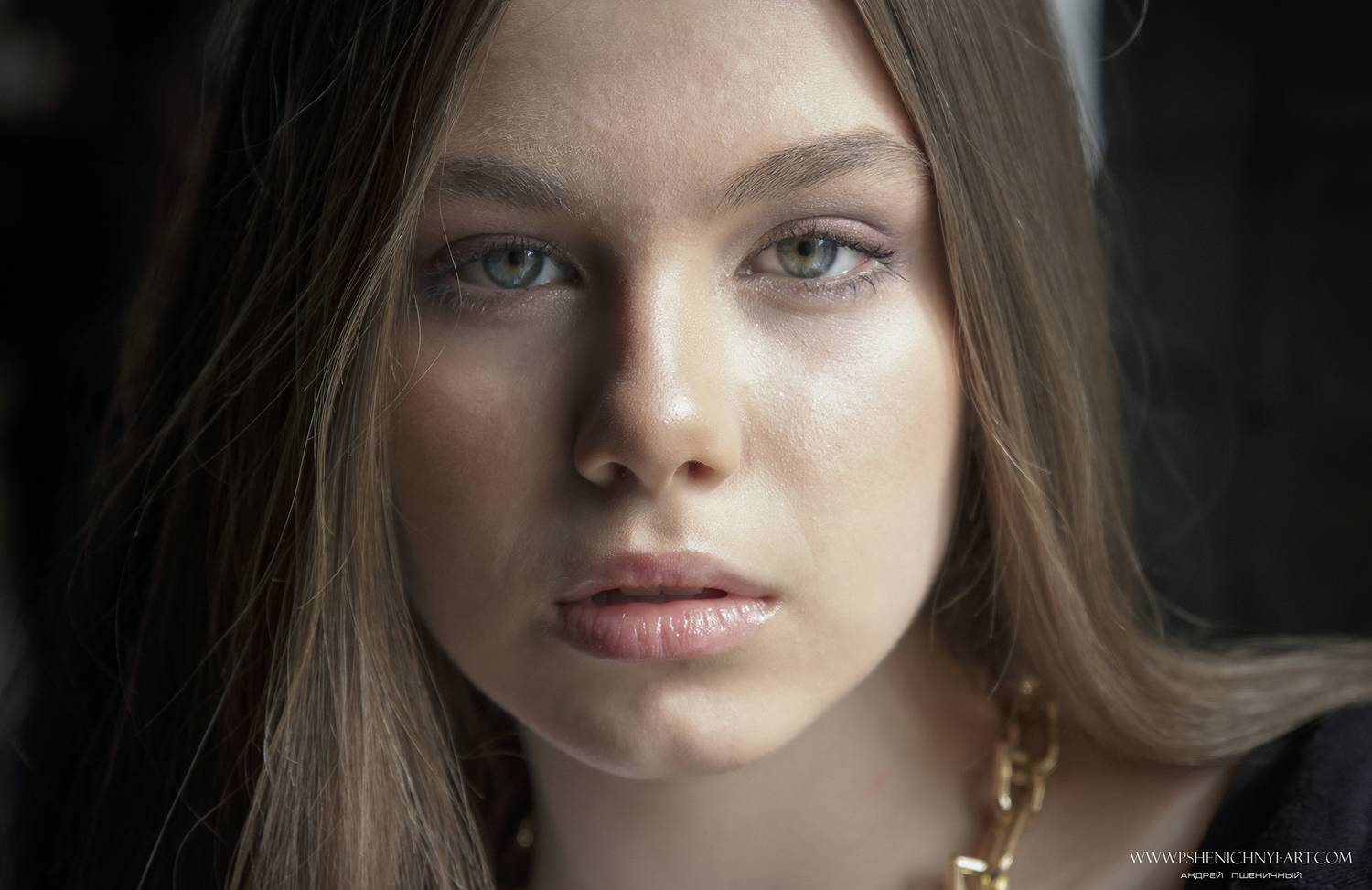портрет, девушка, взгляд, женский портрет, крупный план, естественное освещение, Пшеничный Андрей