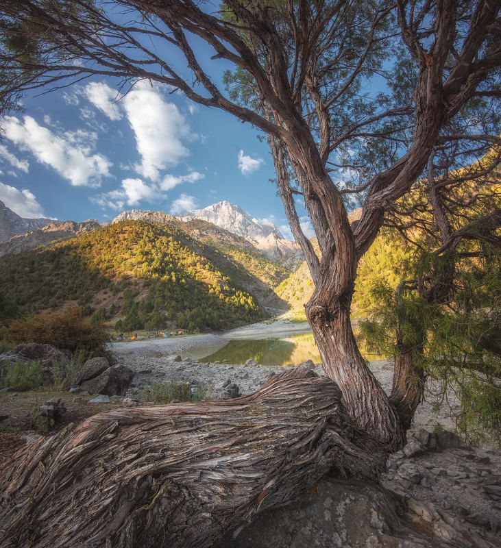 Живописная арча Фан фото превью