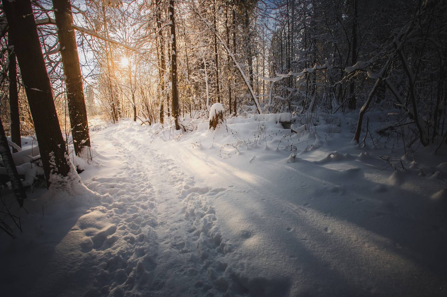 , Зеленько Дмитрий