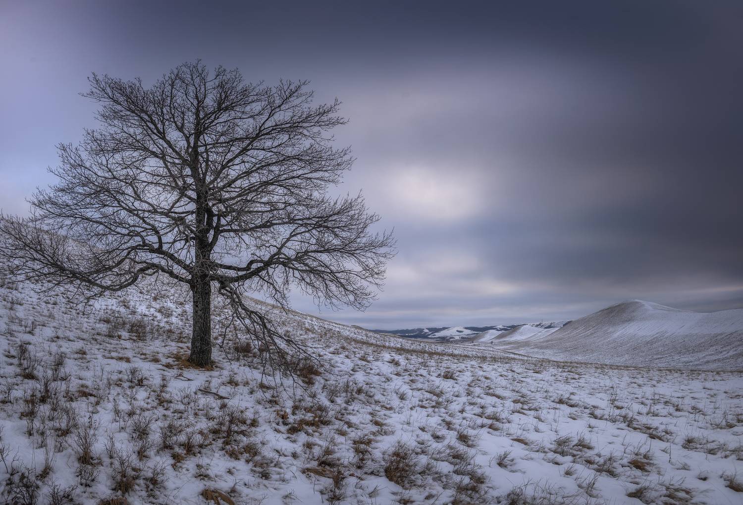 , Антонов Антон