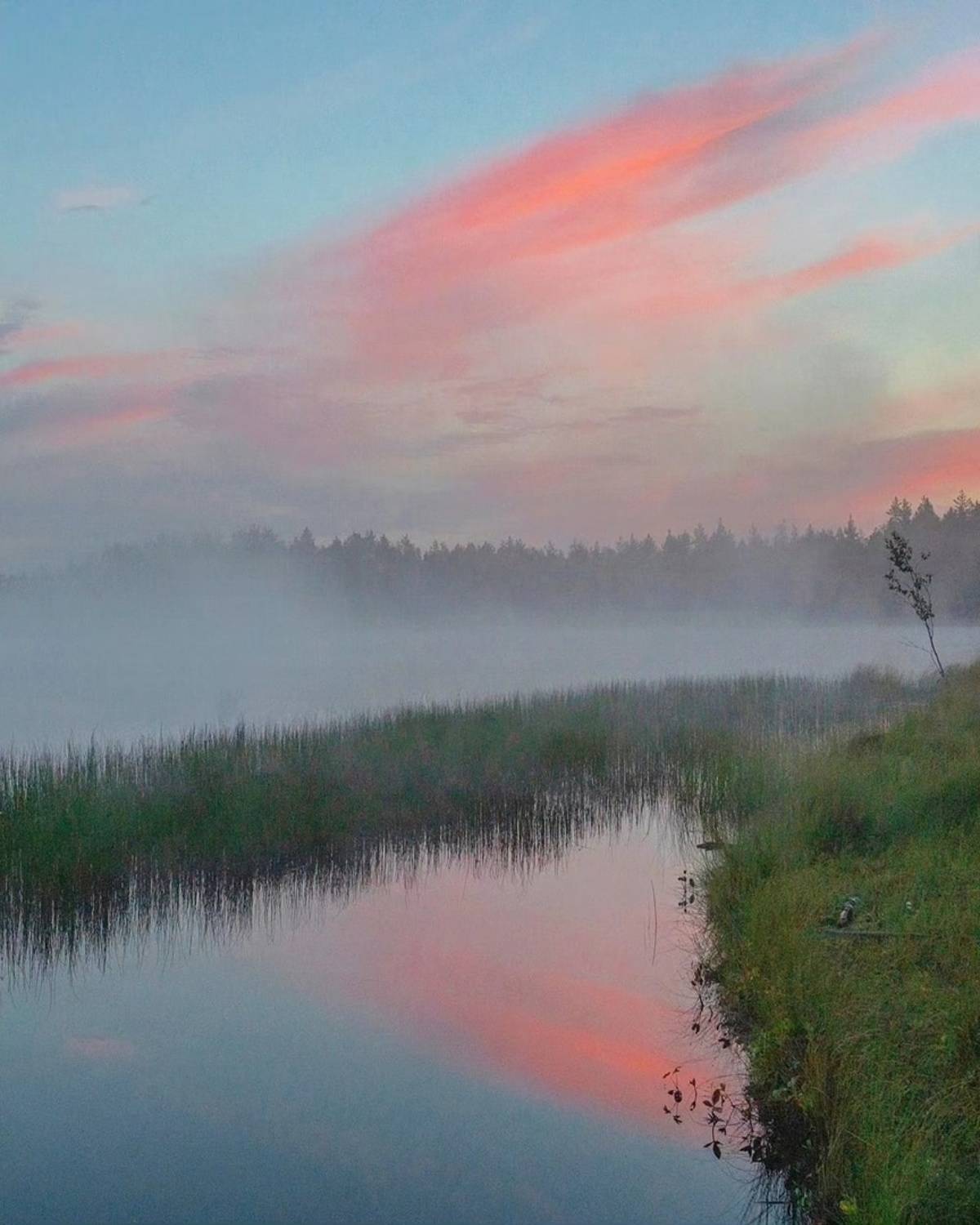 , Петр Косых