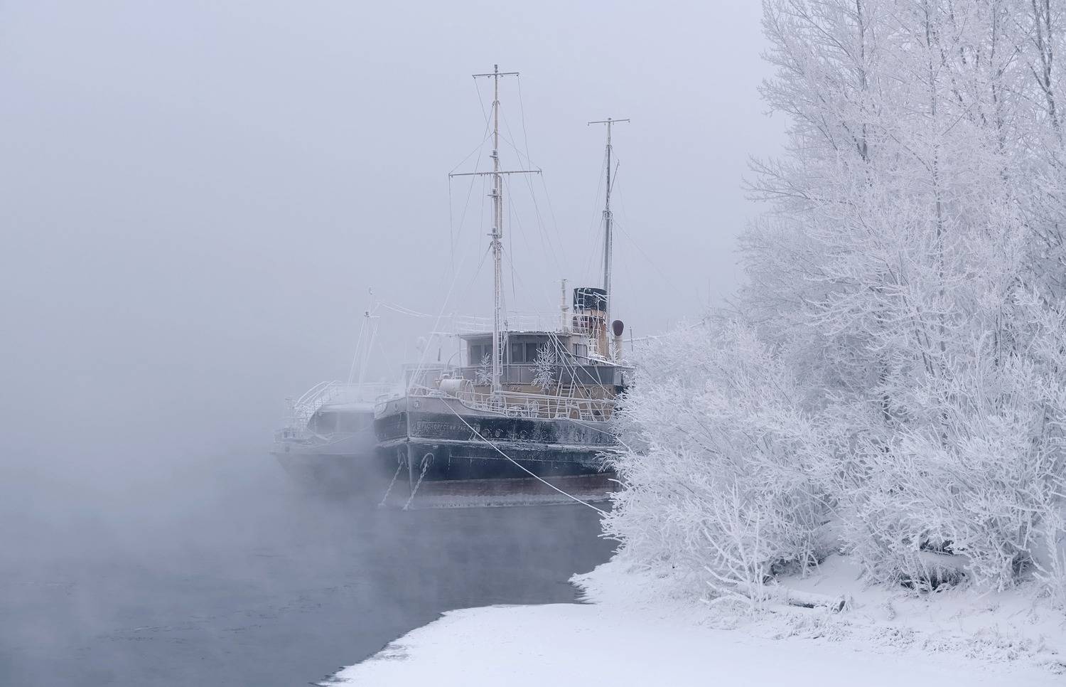 мороз, сибирь, красноярский рабочий, туман, иней, Фомина Марина