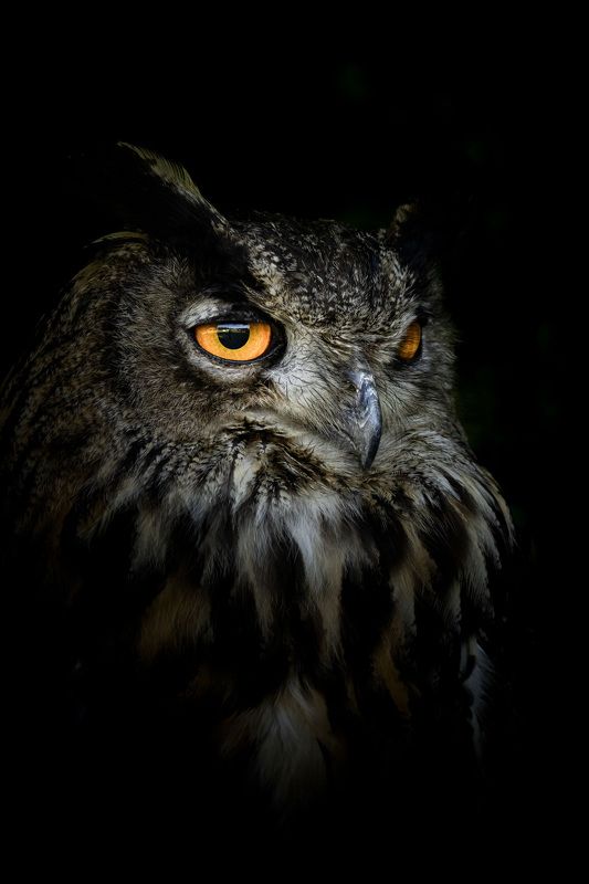 Secret beauty of nature фото превью