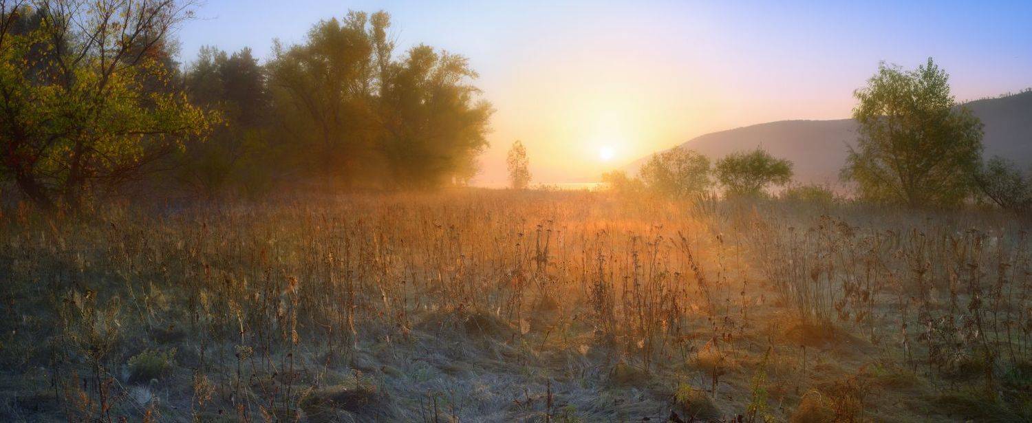 , Александр Тормосин