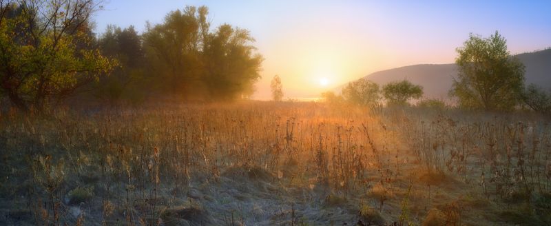 Паутинки. фото превью