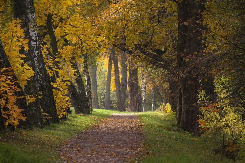 ** фото превью