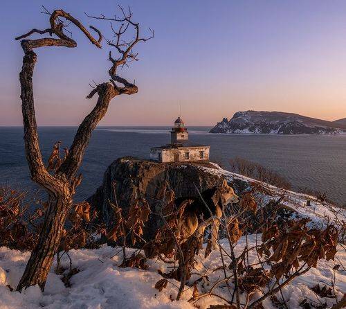 Вглядываясь в закат