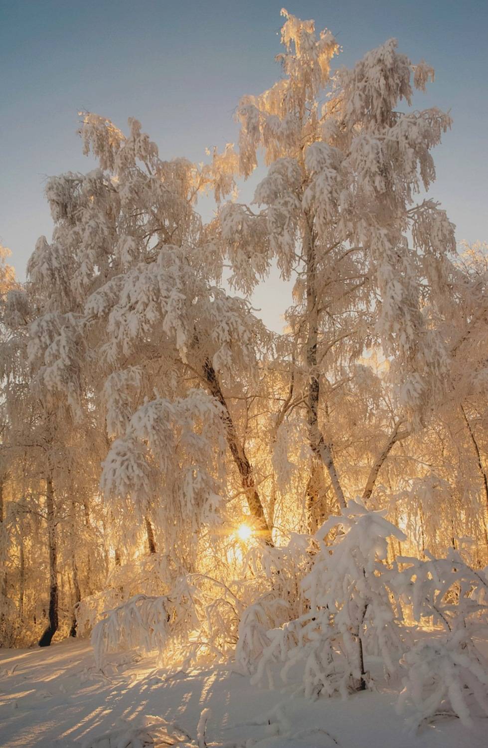 , Шустиков Дмитрий
