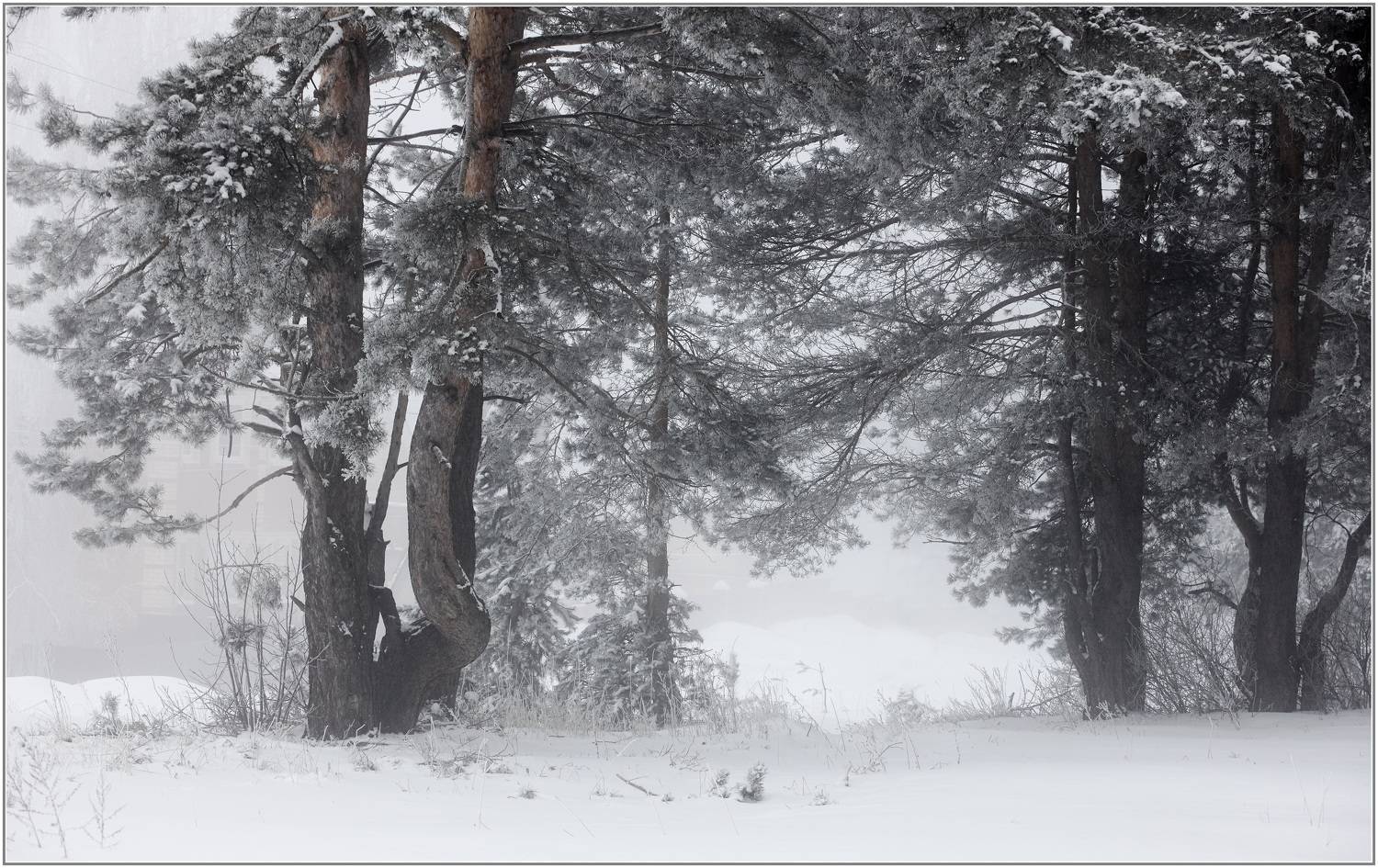 , Владимир Краснов