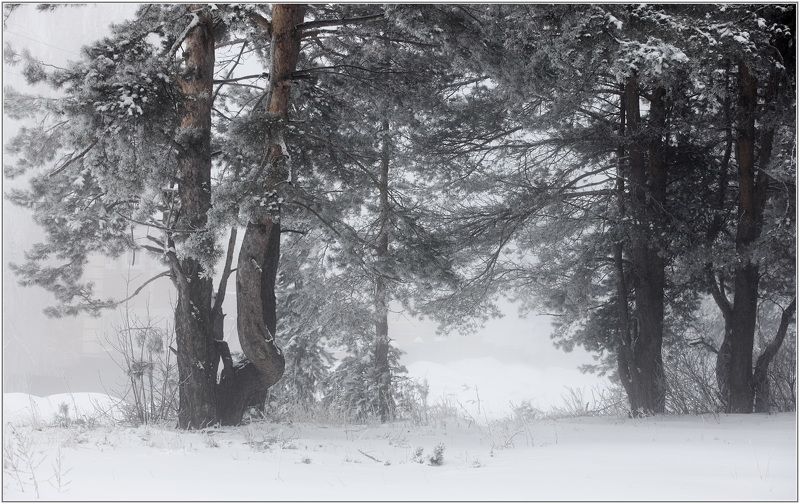 **** фото превью