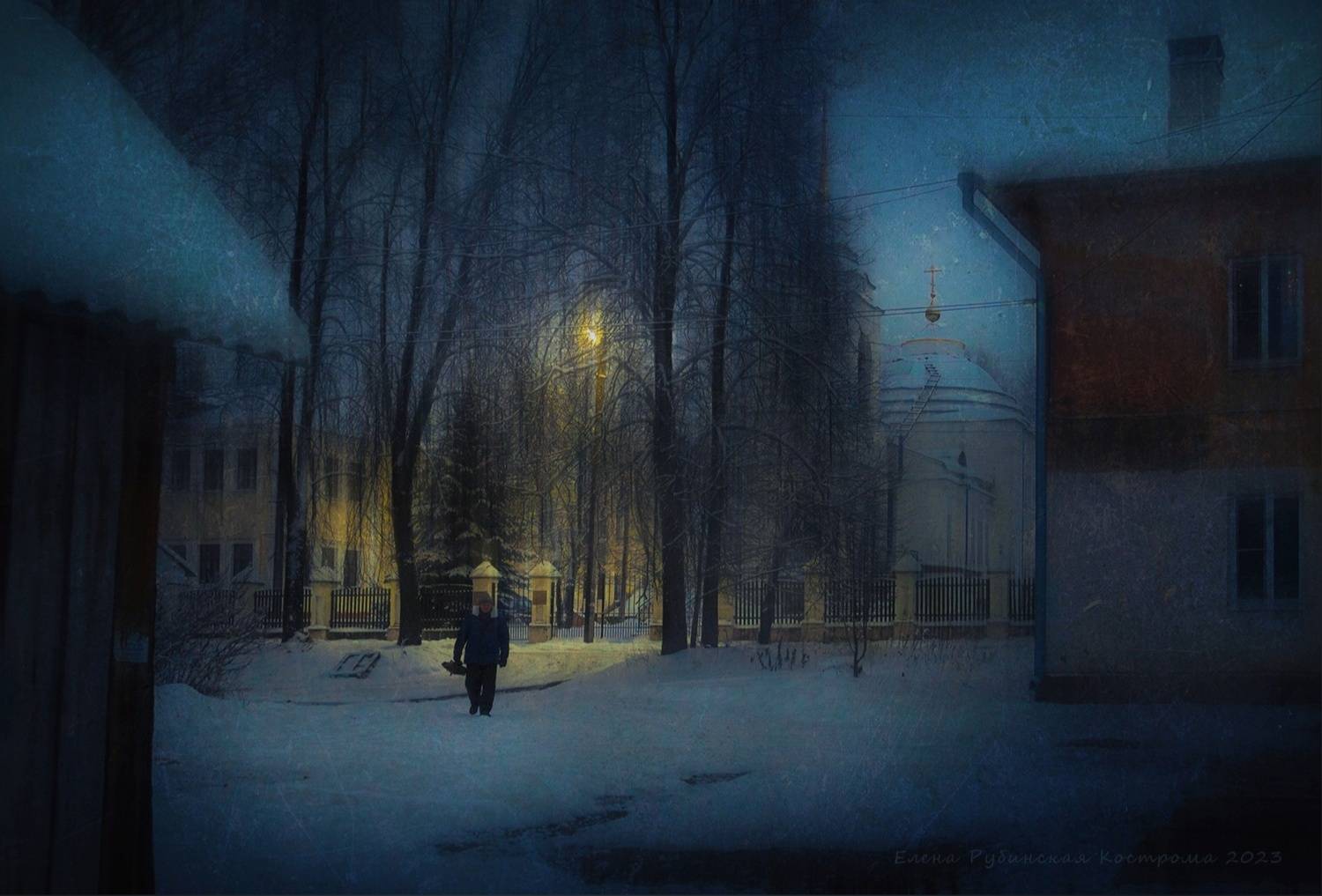 кострома, Елена Рубинская