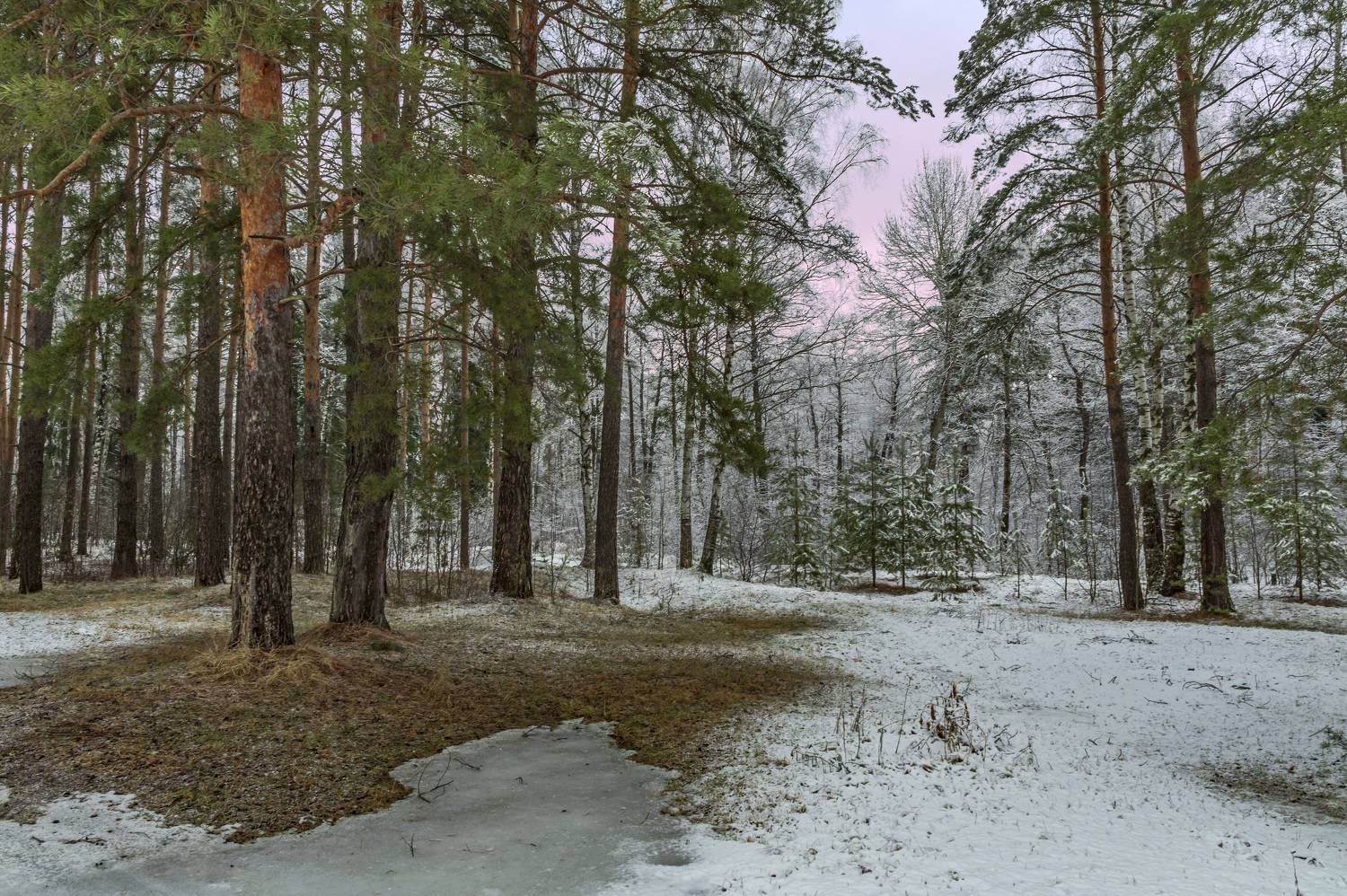 , Шитов Александр