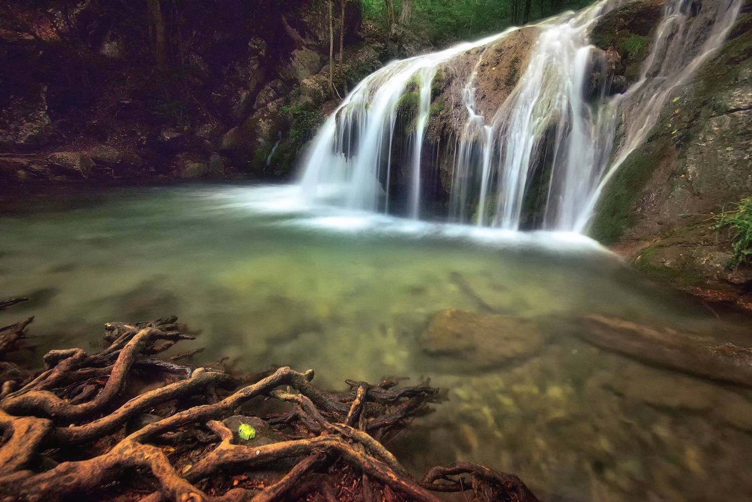 , Алексей Никонов