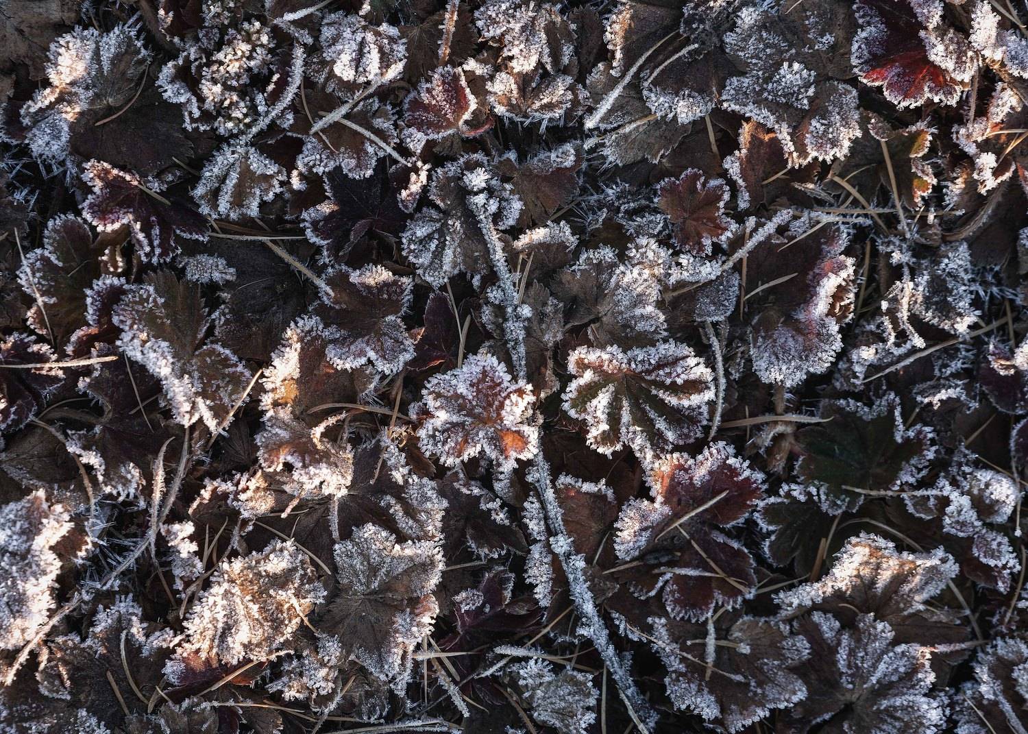 , Евгений Важенин