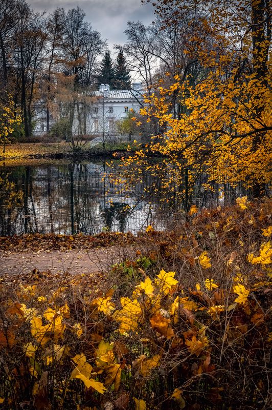 Елагин остров, Санкт-Петербург фото превью