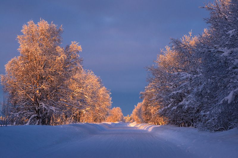 север, кольский, хибины, заполярье, Белая дорога фото превью