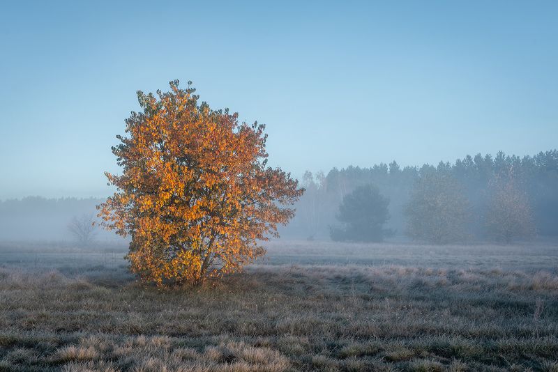 Landscape photography / Poland фото превью