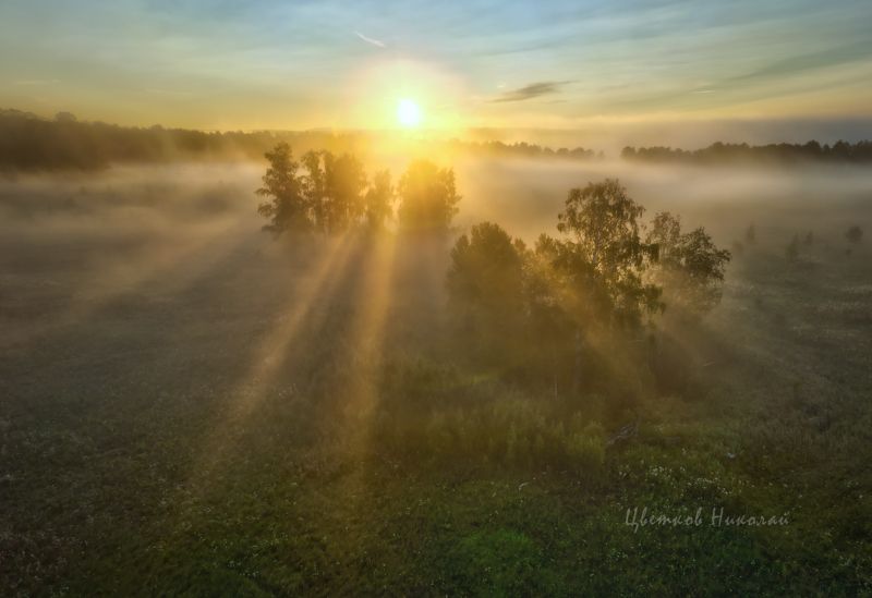 туман, рассвет * фото превью