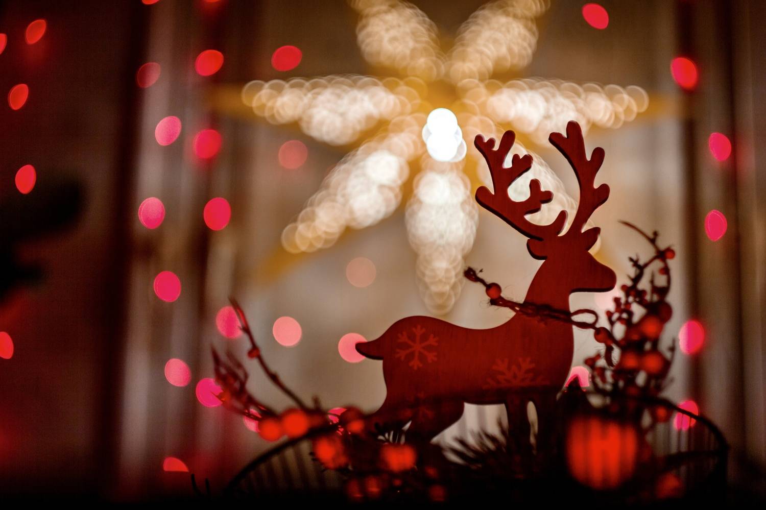 , Сергей Фаренюк