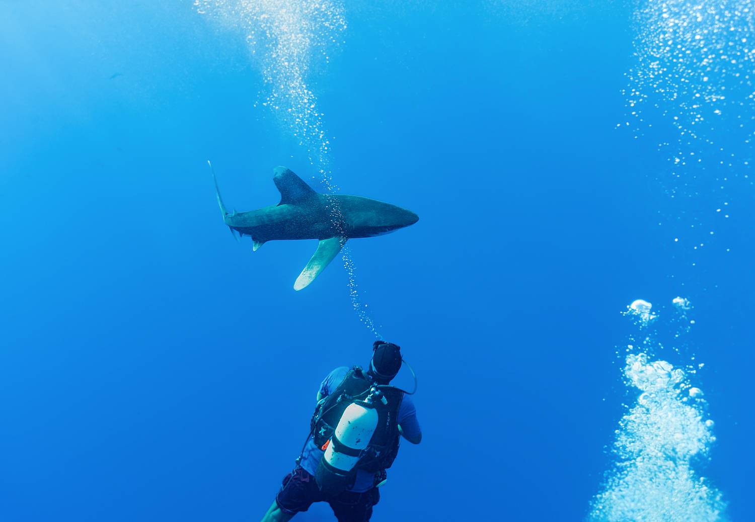 , Валерий Одинцов