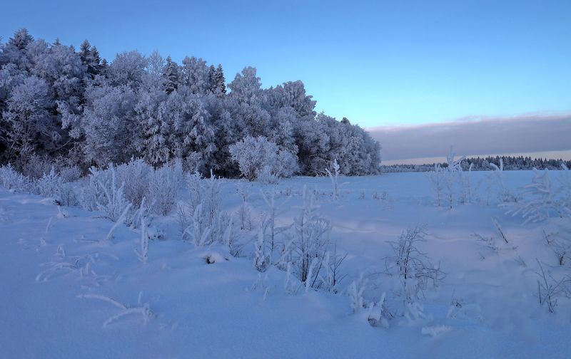 *** фото превью