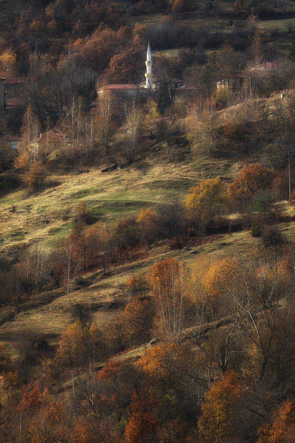 , Костадин Маджаров