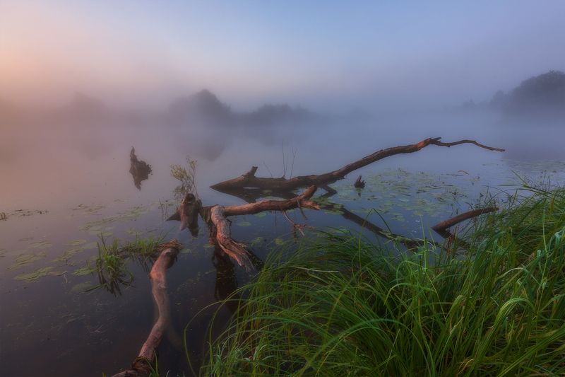 *** фото превью