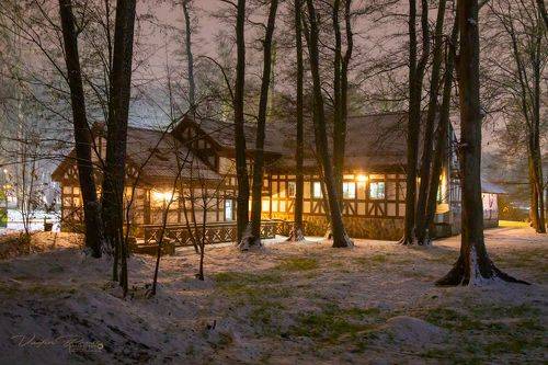 «Зеленоградские огни»