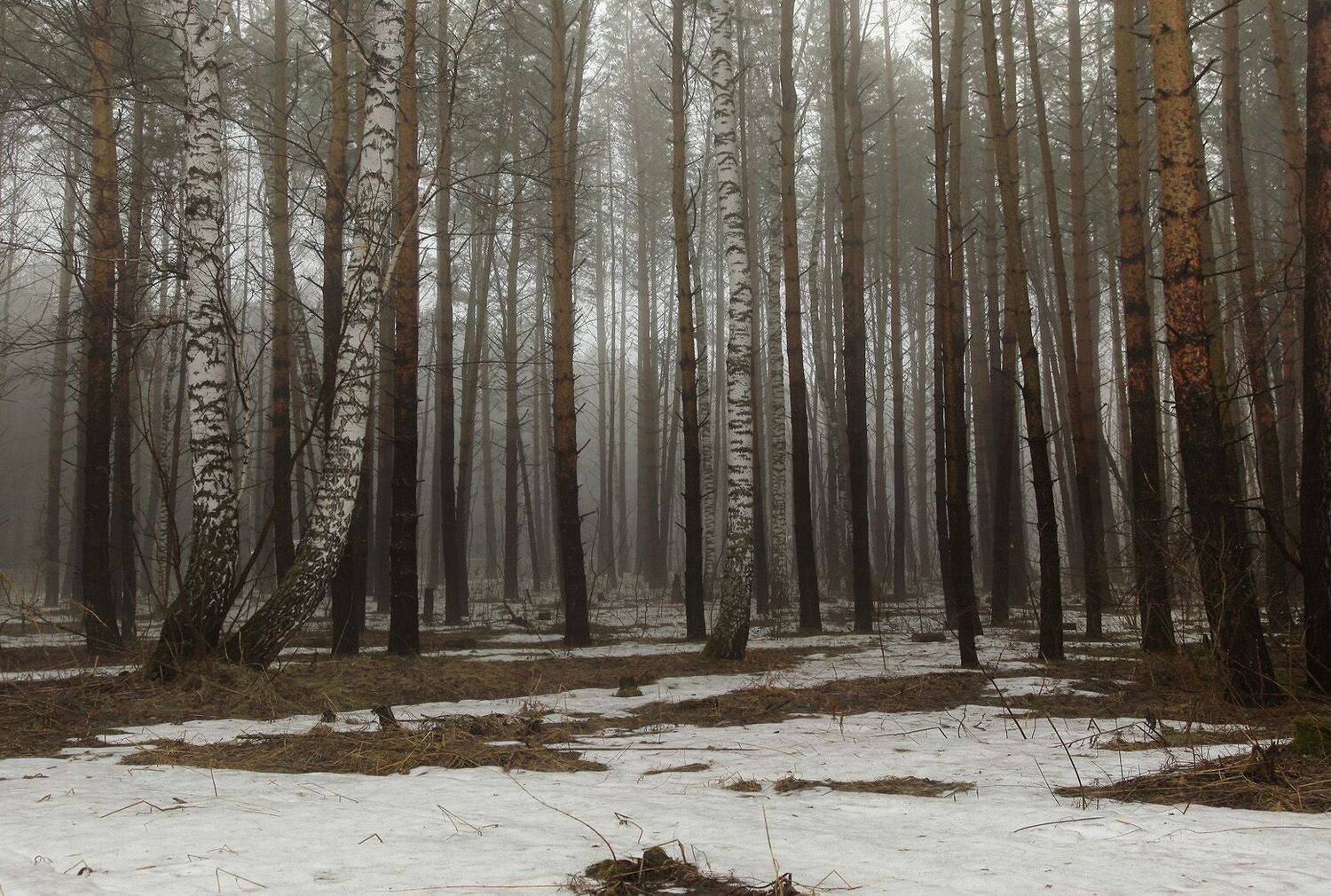, Алексей Хахлов