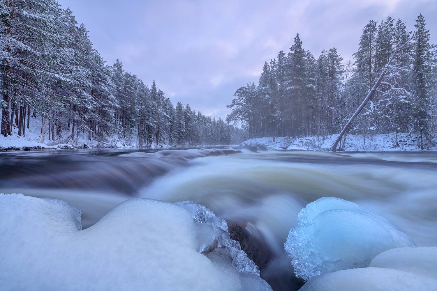 , Максим Евдокимов