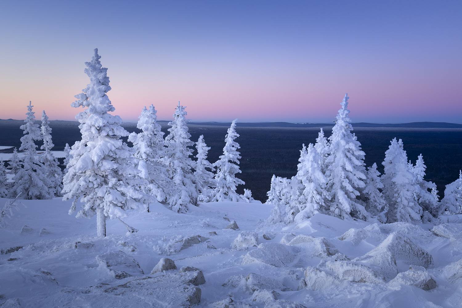 , Бирюкова Татьяна