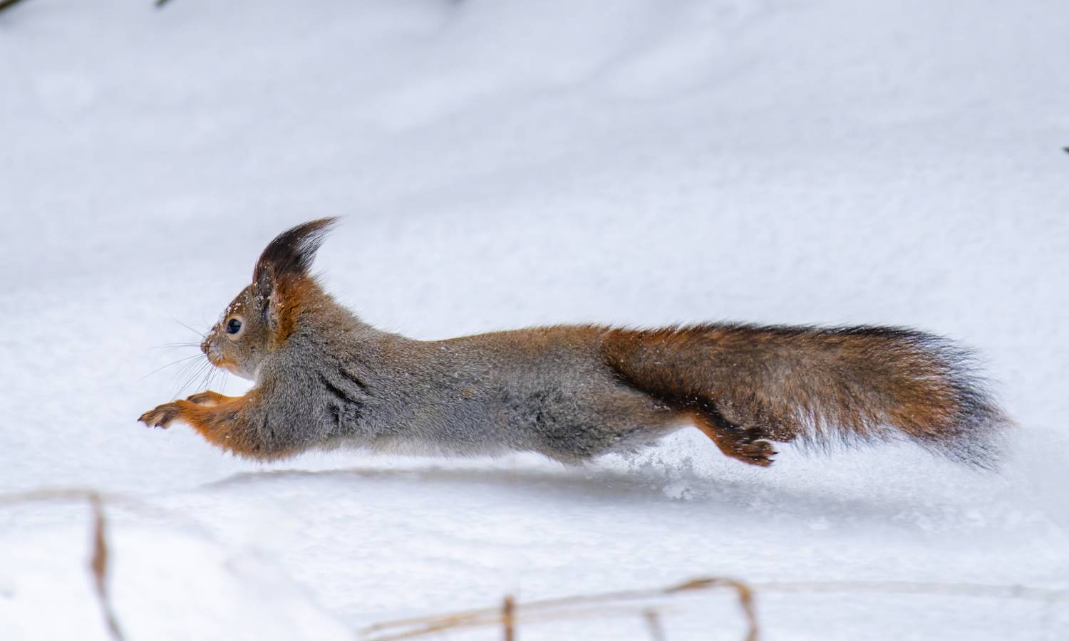 , Дэм Константин