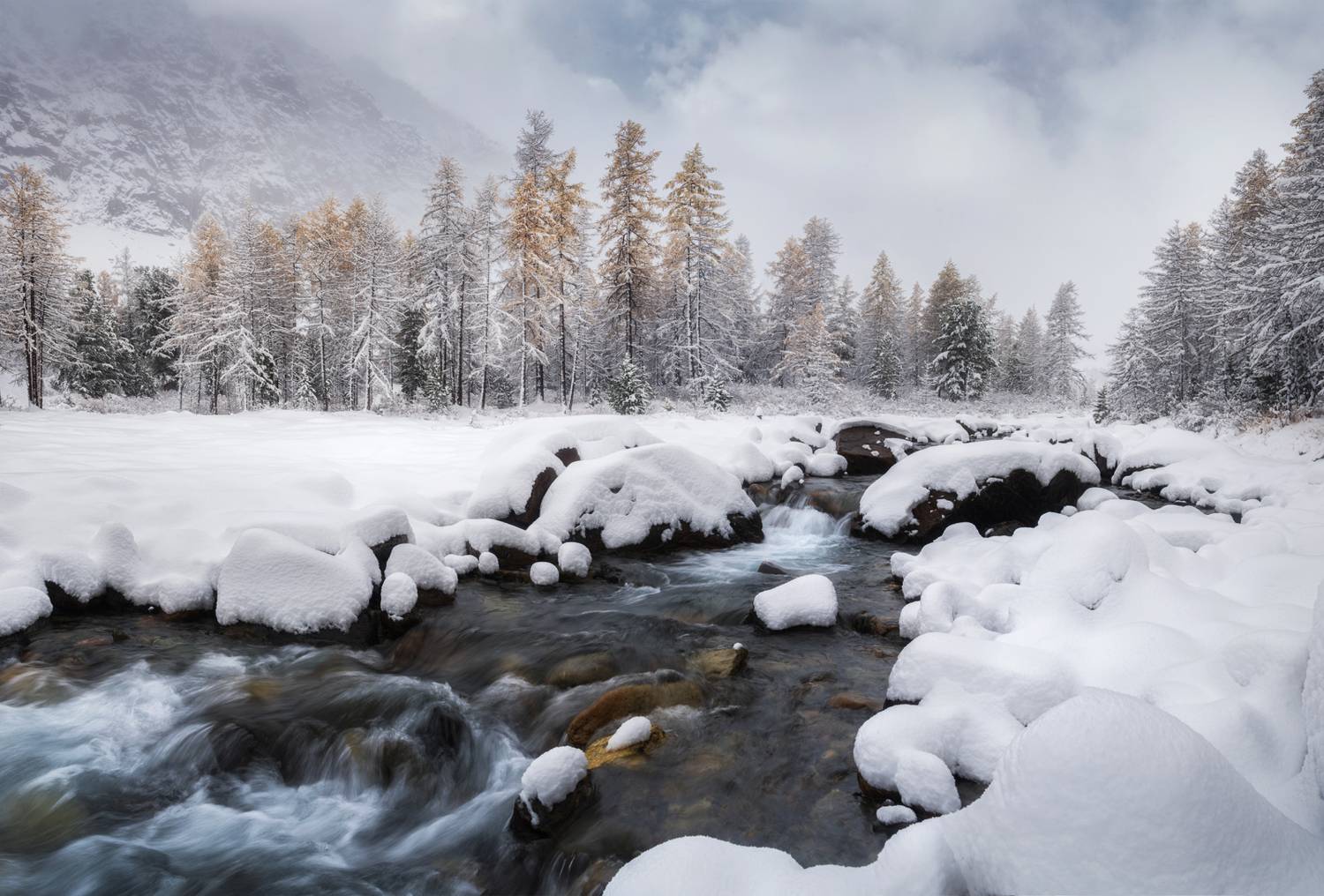 алтай, горный алтай, пейзажи алтая, кош-агачский район, горная река, золотая осень, горы, осенний алтай, горная тайга, горное ущелье, актру, ак-туру, ущелье актру, предзимье, Рубан Алена